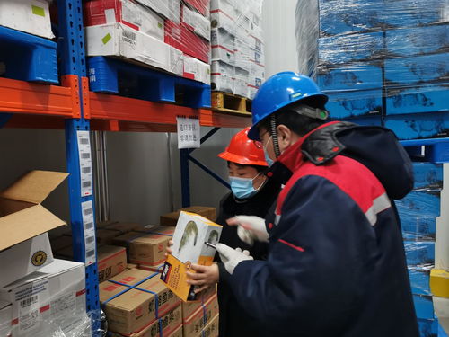筑牢冷链防线 守护食品安全——孙村市场监管所开展物流企业进口冷链食品疫情防控专项检查
